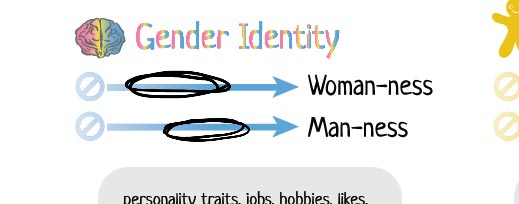 A 0-100 scale for woman-ness with a circle drawn from the 20% point to the 60% point and a scale for man-ness with a circle from 40% to 80%