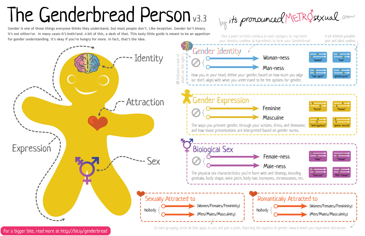 Image result for genderbread person