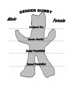 The Genderbread Person It S Pronounced Metrosexual Li Linguas