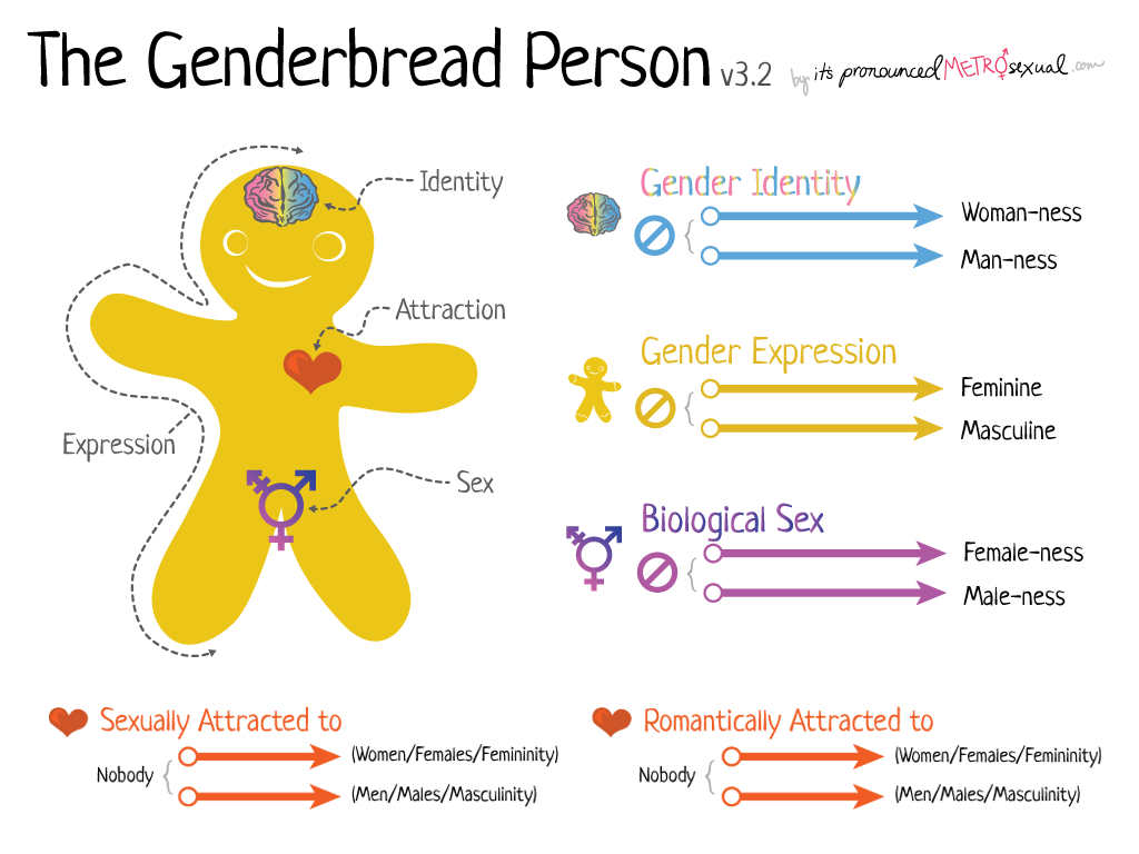 The Genderbread Person Version It S Pronounced Metrosexual