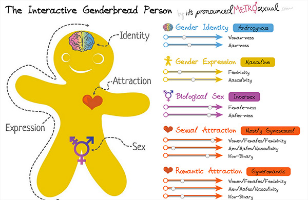The Genderbread Person It s Pronounced Metrosexual The Genderbread Person It s Pronounced Metrosexual