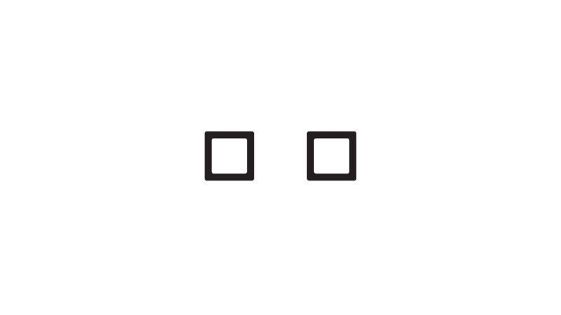Two empty checkboxes