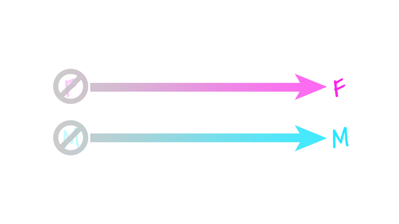 Two scales, or arrows going from "Not F" to "F" and "Not M" to "M"