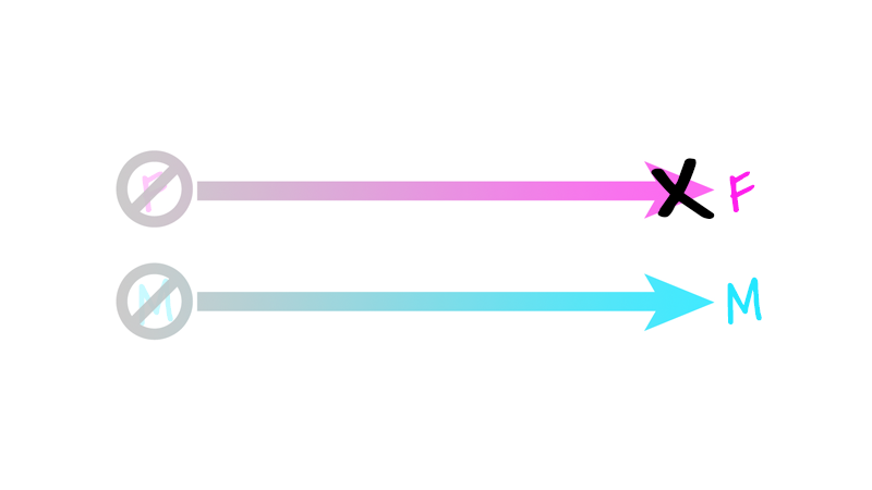 Two scales, or arrows going from "Not F" to "F" and "Not M" to "M", with an X plotted at the 100% point of the "F" scale