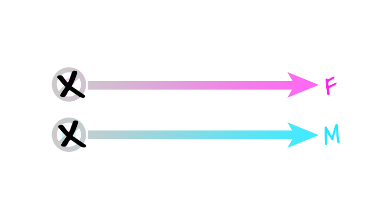 Two scales, or arrows going from "Not F" to "F" and "Not M" to "M", with X's plotted at the "Not" side of both