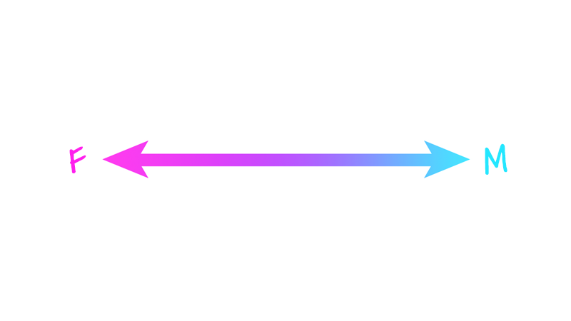 A spectrum from "F" to "M," pink to blue